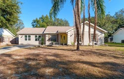 40140 PALM STREET, LADY LAKE, FL 32159