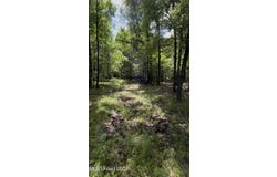 5135 S Hwy 51, Hernando, MS 38632