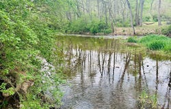 11485 DELRAY ROAD, RIO, WV 26755