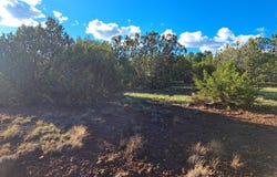 1499 E Barbara Road, Williams, AZ 86046