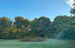 Sprowles Ridge Road, Campbellsville, KY 42718