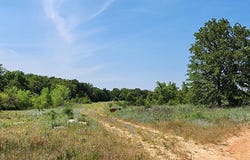 301 Timber Trail, Alvord, TX 76225