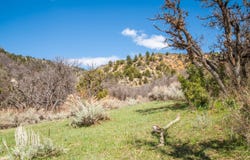 TBD Highway 13, Rifle, CO 81650