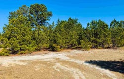 Coastal Lane, Hartsville, SC 29550