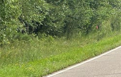 Lot 5 Acre 239th Avenue, Nevis Twp, MN 56467