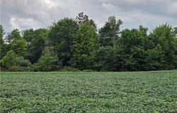 Norton Road, Garrettsville, OH 44231