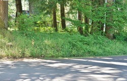 9965 BEACH DR, Birkenfeld, OR 97016