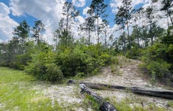 Chaco Circle, Alford, FL 32420