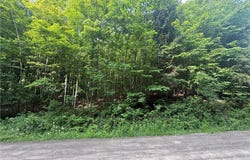 7420 Feather Street, Springwater, NY 14512