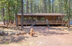 3632 W Bermuda Circle, Pinetop, AZ 85935