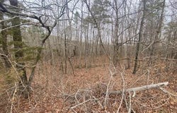 Lot 76 Mustang Drive, Clinton, AR 72031