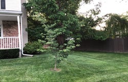 129 RONALD ROAD, ASTON, PA 19014