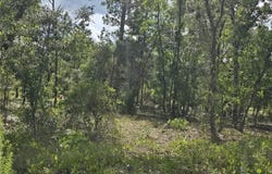 NE 121ST Avenue, WILLISTON, FL 32696
