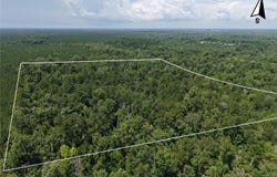 0 River Rd. Road, Bascom, FL 32423