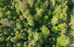 DADS LAKE RD lot: 2, Eagle River, WI 54521