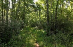 Us-51, Bogue Chitto, MS 39629