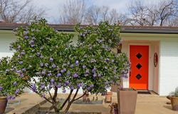 1601 E 19th St, Georgetown, TX 78626