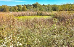 E 900 Road, Pleasanton, KS 66075