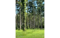 96 278 Dawson Creek Blvd lot: 96, Oriental, NC 28571