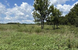 Turnbull Rd, Caddo, OK 74729