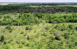 Tbd LCR 663, Kosse, TX 76653