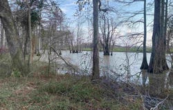 BONNE IDEE HIDEAWAY ROAD lot: 76 & 77, .75+-Ac, Mer Rouge, LA 71261