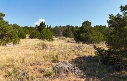 Mohawk Cir lot: 136, Walsenburg, CO 81089