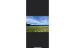 Parham Store Rd, Smithville, MS 38870