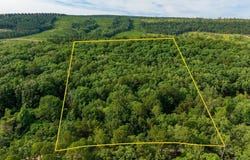 TBD Gum Drop Loop, Houston, AR 72070