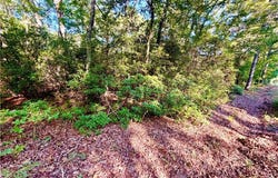 3.5 AC Mill Creek Road, Wake, VA 23176