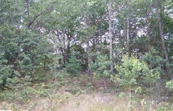 TBD N Circle E, Farwell, MI 48622