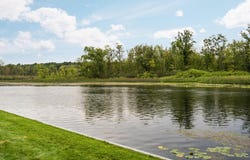 4405 Shoreview Lane, Whitmore Lake, MI 48189