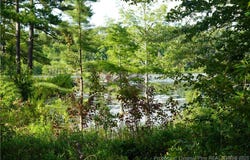 Lakeview Drive lot: 8, Red Springs, NC 28377