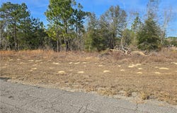 6597 N Bedstrow Boulevard, Citrus Springs, FL 34433