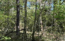 0 RAILROAD LANE, MARGARET, AL 35112