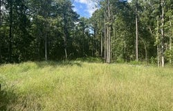 306 Joans Ridge lot: 33, Stella, NC 28582