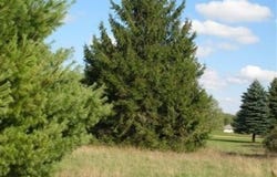 7618 Red Fox Road, Canadian Lakes, MI 49346