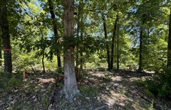 Tbd State Highway 14 E, Sparta, MO 65753