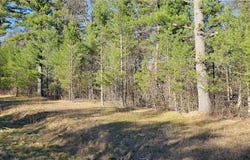 0 Lot 7/8 Levis Creek Road, Black River Falls, WI 54615