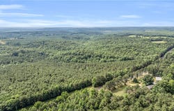 AL-159, Fayette, AL 35555