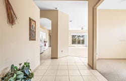 1330 MISTY GREENS DRIVE, SUN CITY CENTER, FL 33573