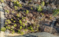 17 Painted Bunting Trail, Smithville, OK 74957