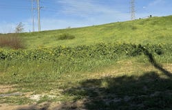 2719 holly ct, Antioch, CA 94509