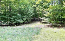 0015 S Mistys Trail, Empire, MI 49630