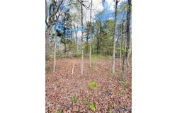 Cedar Grove Road, Lawrenceville, VA 23868