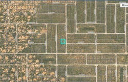 Nabby, El Paso, TX 79928