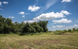 TBD Stern Road, Chappell Hill, TX 77426