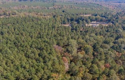 Hwy 159, Minden, LA 71055