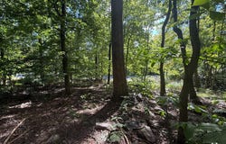 LOTS DOGWOOD, MOUNTAIN RISE & GREAT OAK Road, HARRISBURG, PA 17110