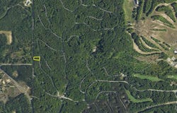 Lot 38 Courchevel Lane, Bellaire, MI 49615